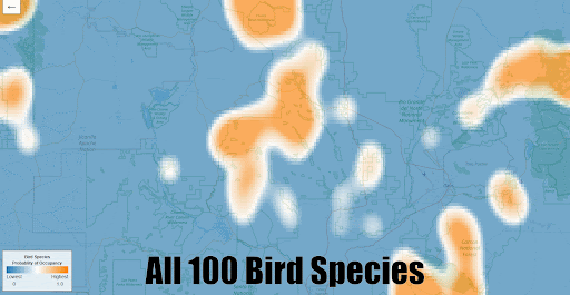 Gif showing different bird species predicted distributions.