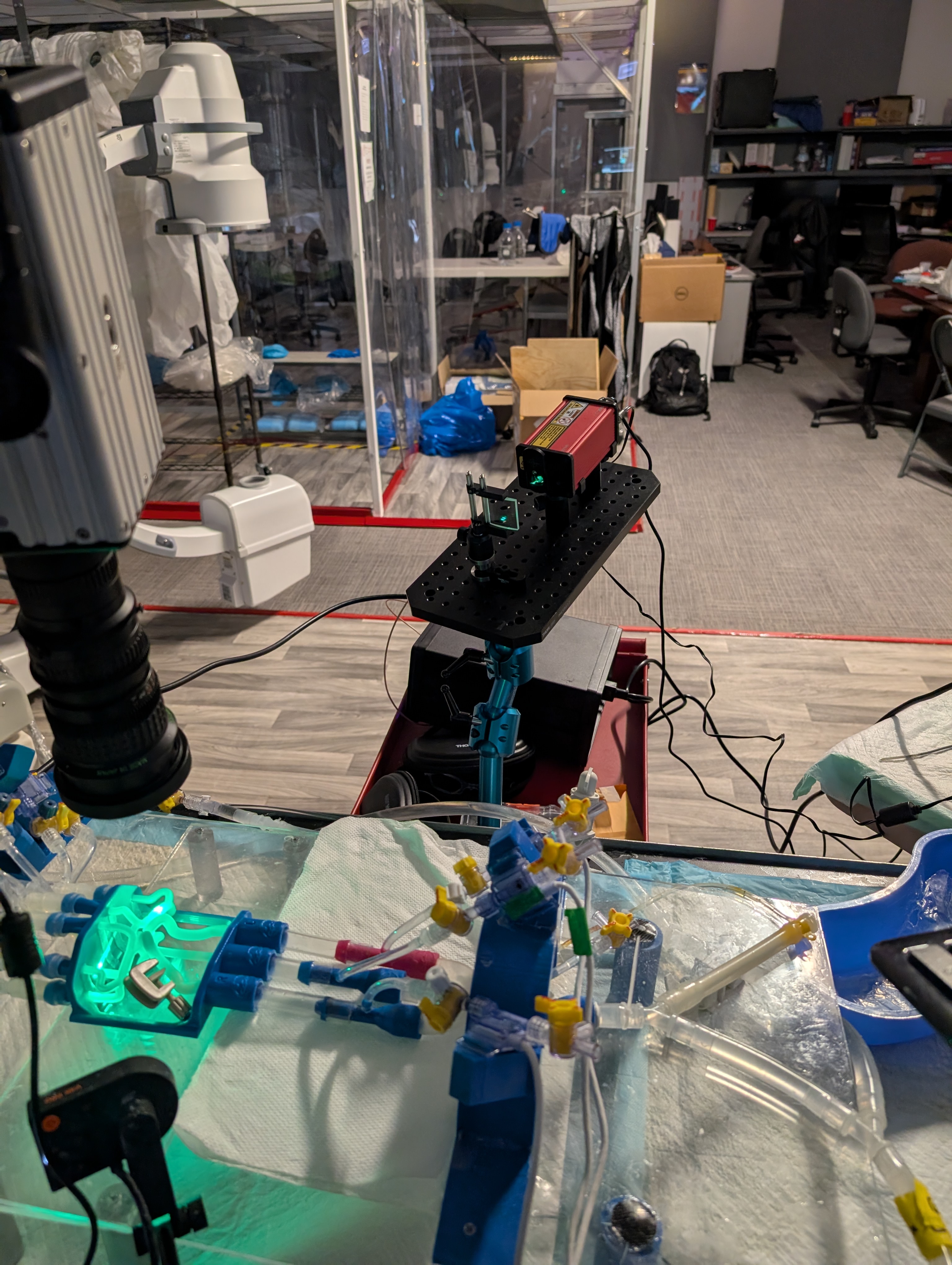 Capstone project image