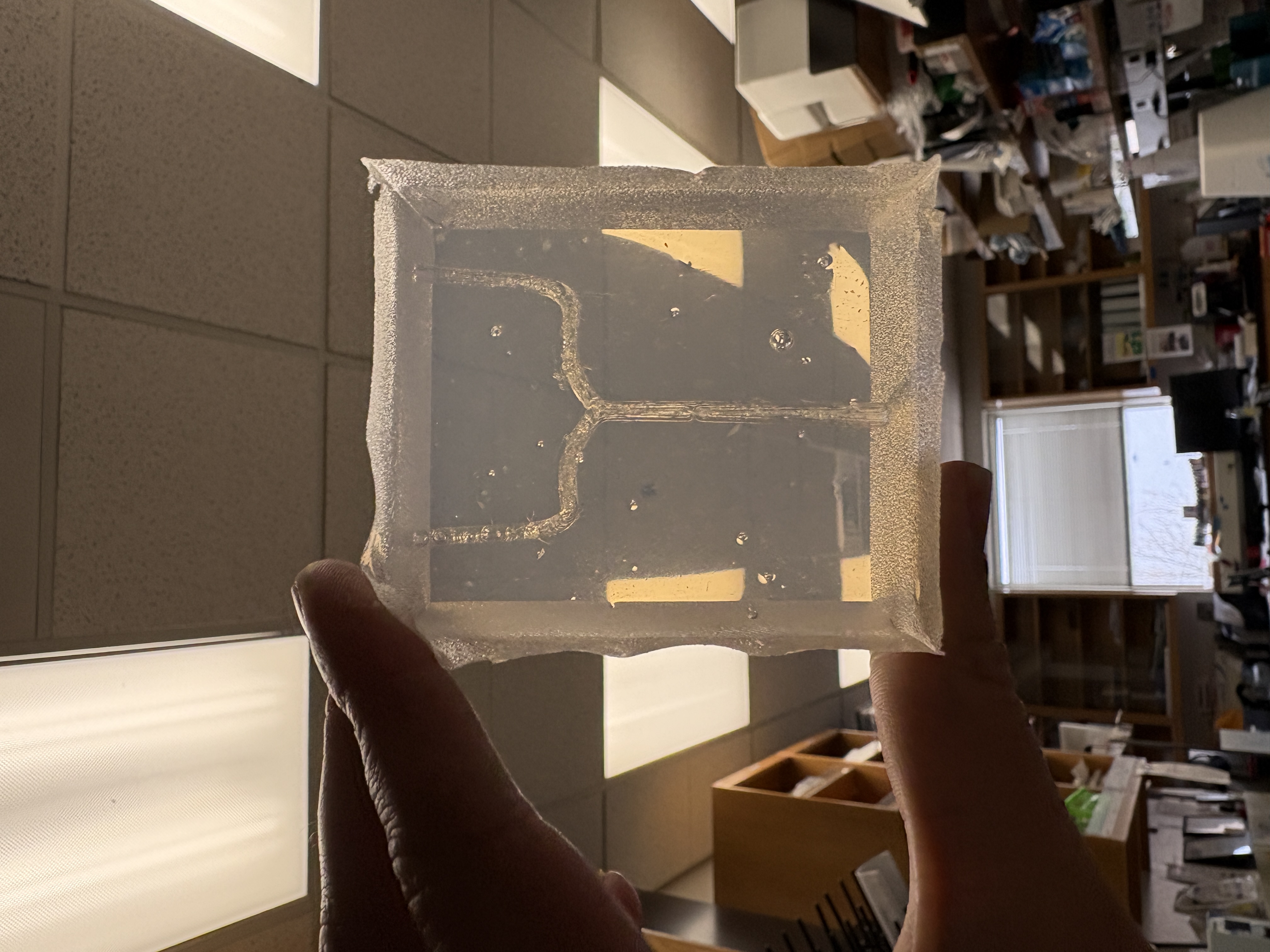 Mold after PVA was dissolved